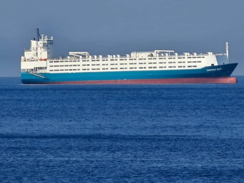 M/V OSAMA BEY livestock carrier at sea